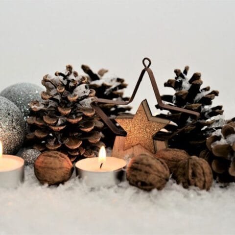 Adornos navideños con piñas