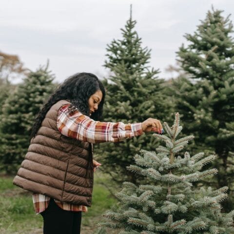 Árbol de Navidad natural