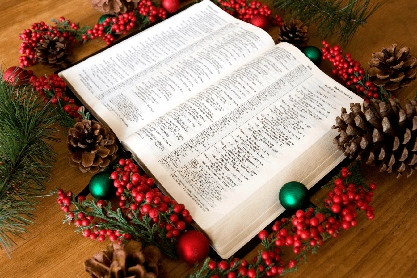 ¿Por qué los testigos de jehová no celebran la navidad?